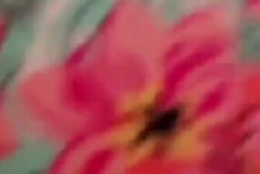 Follando con con chicos en una piscina soy una puta mi esposo no se da cuenta cornudo