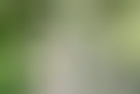 Wife was fucked and caught by unknown outdoor