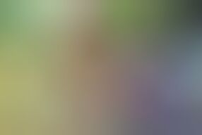 Nature Trio with My Husband and Stepson