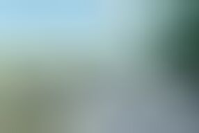 Outdoor blowjob in the middle of the WAY