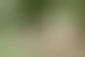 Stepsis gets anal sex in the village from stepbrother