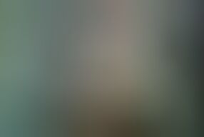 Spontaneous Crazy Sex