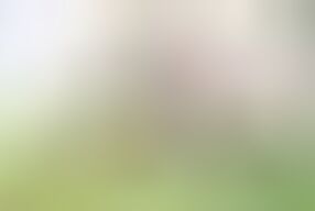 DIRECT CREAMPIE!!! My first sex with Lando Ryder !