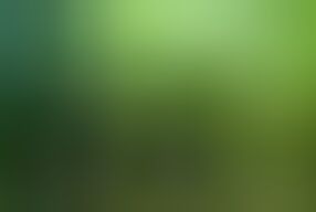 I almost found out when I fucked my cousin's pussy in the living room