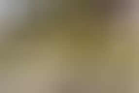 The Fucking Picnic Trick - Neighbor Fucks Me Over