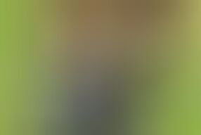 The brother-in-law went to the field with the sister-in-law and showed her tight