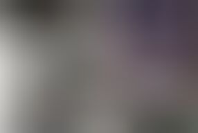 150 Breeders Creampie Gangfuck Extravaganza