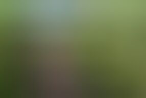 Unallowed Anal Adventure in a Cornfield - Too Sweet to Stay Good!