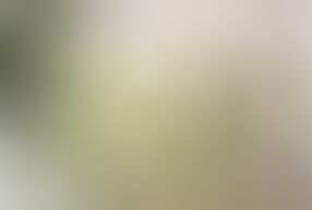 When the Milkman Asked for Money, Madam Got Naked and Gave Him Her Ass to Fuck (anal Fuck)