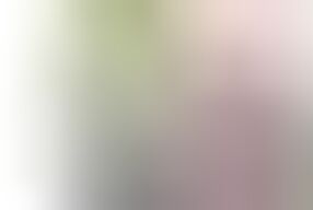 A Woman Who Had Sex With A Man