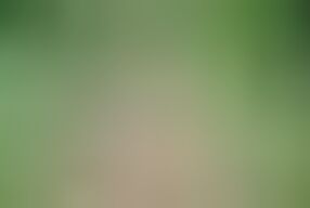 Stepsister's Warm Yoga Energy