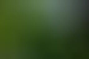 4some at the lake - Girls caught nude bathing and fucked