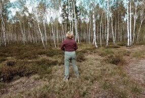 The environment is so beatiful, that I must piss here, if someone will see me - good for him