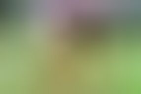 Boss Ne Staff Ke Sath Hardcore Sex Kiya Tina Nandy