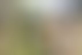 OUTDOOR SEX, Young Latinos Pay Penance To An Indian Dwarf With Hard Sex To Get Out Of His Enchanted Lands