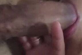 Chupando meu marido até ele gozar!