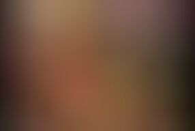 Sex and Wild Adventures