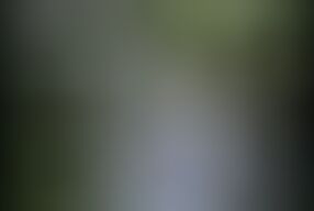 The Big Cock Seduction