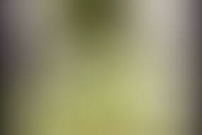 Big Blowjobs and Sex Adventures