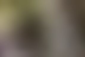 Never turn down sex at his age