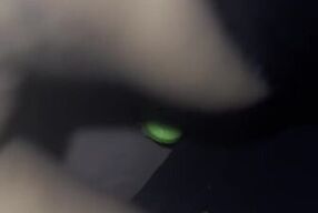 Me & Bestie 1st 3Some Part 2 Eatin Pussy Backshots