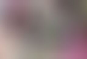 Step sister and step brother hot romance with pussy lick boobs suck and hot fuck in bedroom