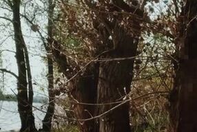 Nude beach masturbate