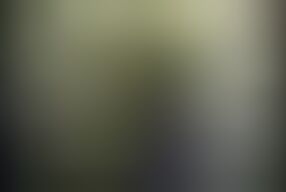 Wild Nights and Big Cock Love