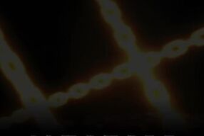 TWISTED WORLD Remake #12: I finally found the hot succubus "Afir"