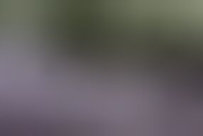 Couples with Big Tits Fucking and Deepthroat