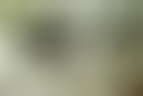 Village Bhabhi Repay Husband Loan! Uncut webseries Sex