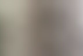 The employee and the customer