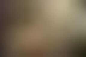 Golden Age of Stars — Kay Parker Vol. 5