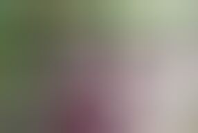 Fucking Humiliate the Girl Mercilessly Hot Greedy Whore