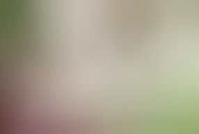 Young stepdaughter gets anal sex from stepdad in the garden