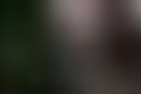 Horny Men Persuade Unsuspecting Women to Suck and Fuck Them. Yes - They Do It