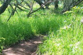 Pale Redhead Hikes Nude And Spreads Herself Open On Trail - Pepper Starks