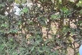 beautiful skinny brunette is filmed by her boyfriend while she changes her blouse on the street