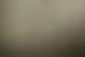 Roma - the Revenge of Ultrix