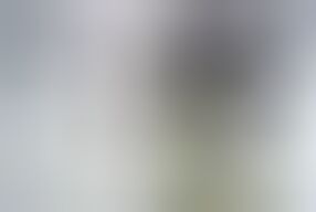 braless and see through outfit in public