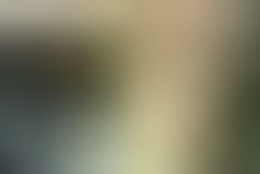 Wild Desire Uncensored