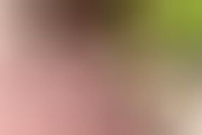 Orgy at the Opera - Cliff Media Productions