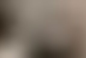 Julia User Viewers 2