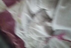 Asian Homemade Dick Sucking อมควยให้เพลินๆ