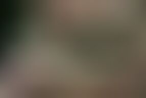 Shrek with a Huge Dick Just Fucks Fiona in All the Cracks in the Castle and in the Swamp