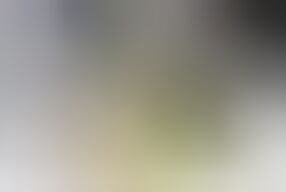 A beautiful girl deliberately pranks a delivery person at a hotel.