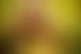 My stepmom caugh me and we have a hardcore fucking. Stepmom love to have my big cock in her Pussy