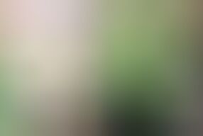 Ojol Wanita gets a special bonus from customers