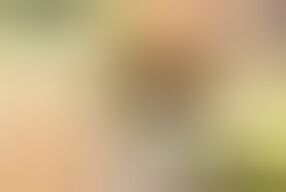 Stunning German MILF with big tits masturbates in sexy lingerie