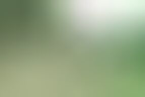 Absolute BDSM - Anal Destroyed and Deeply Inseminated